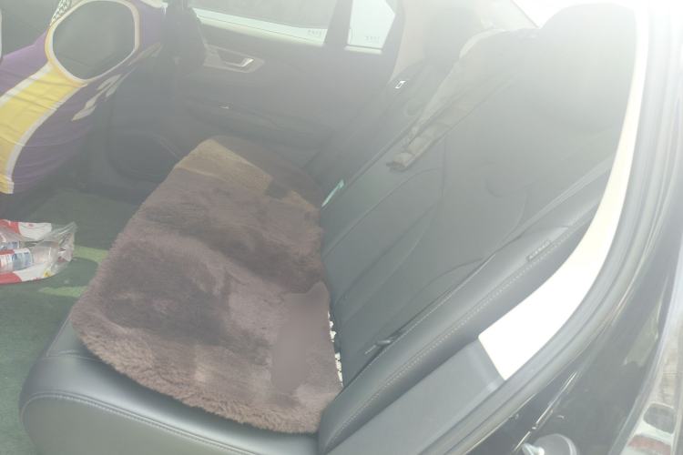 Used Hongqi E-QM5 2023 620km PLUS Left Rear Seat