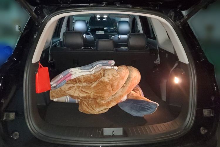 Used Landian E5 2023 1.5L DE-i 100KM Zhenxiang Edition 7-Seater
