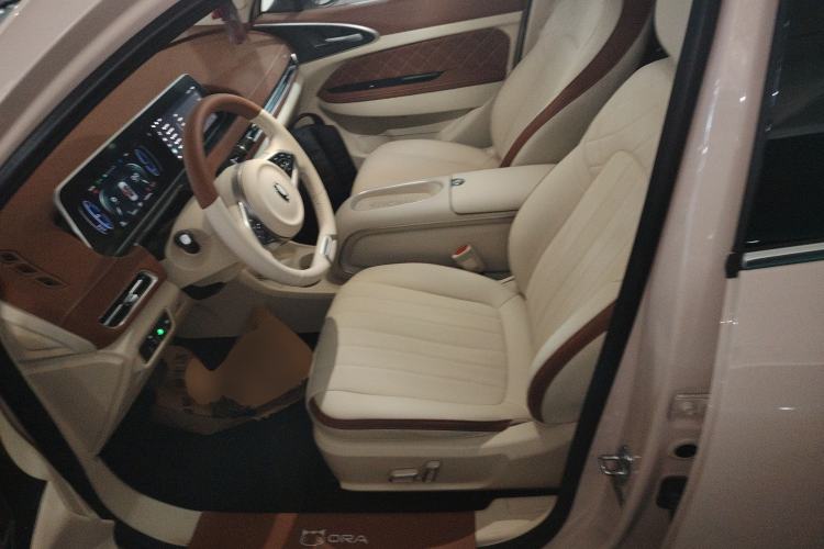 Used ORA Good Cat 2024 401 km Luxury Version Left Front Seat