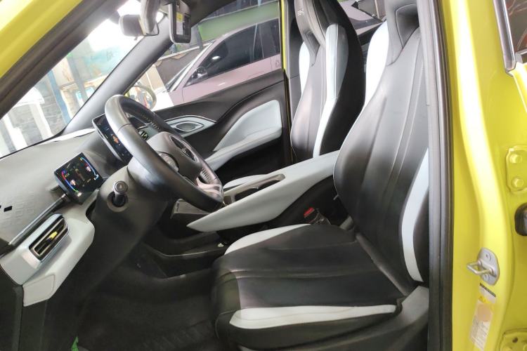 Used BYD Seagull 2023 Flying Edition Left Front Seat