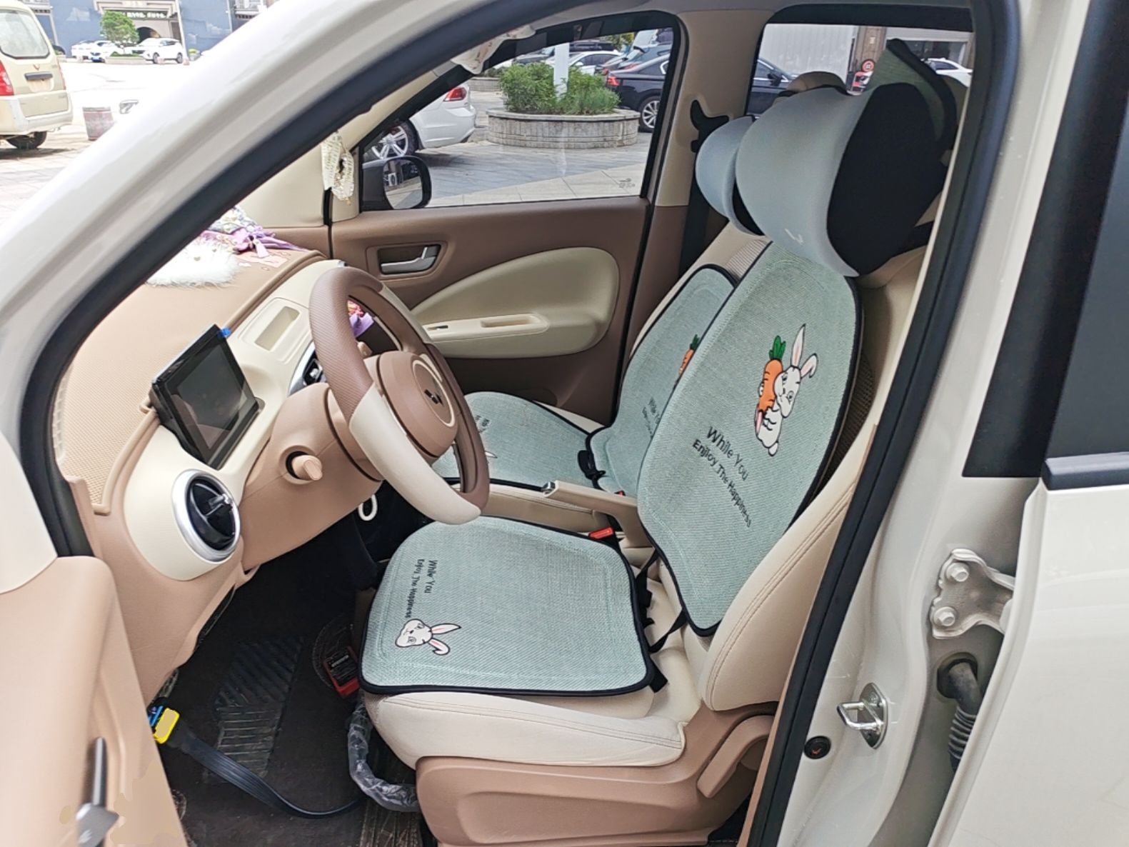 Interior delantero