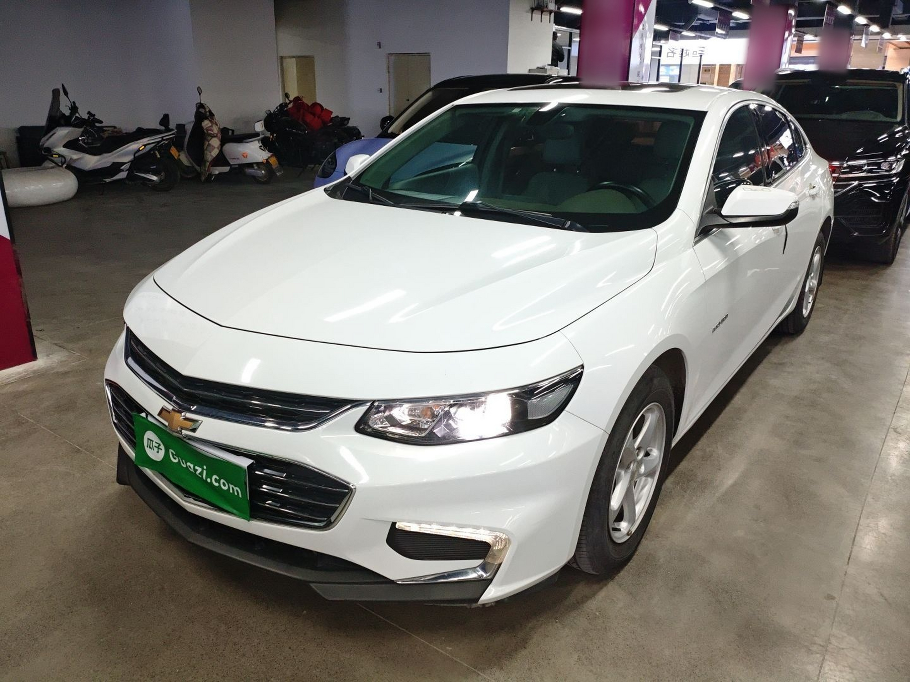 Parte inferior delantera