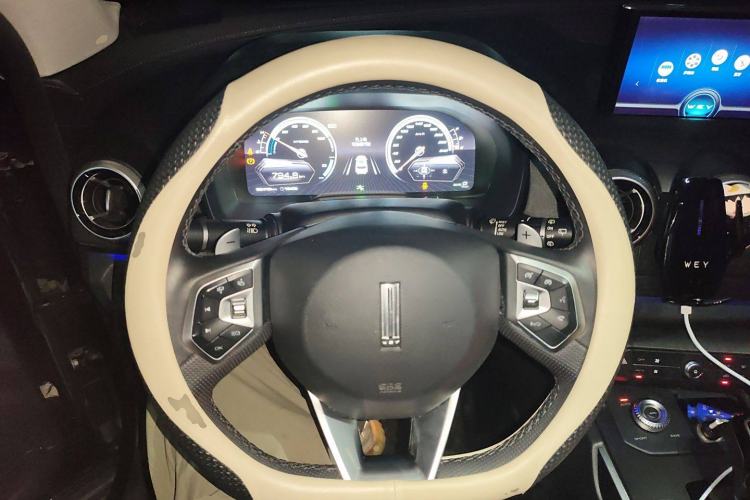 Used Wey P8 2018 2.0T Flagship Model
