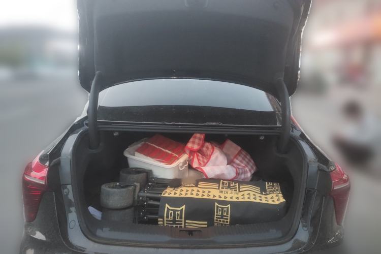 Used Hongqi H5 2024 2.0T Automatic Smart Connect Flagship Edition
