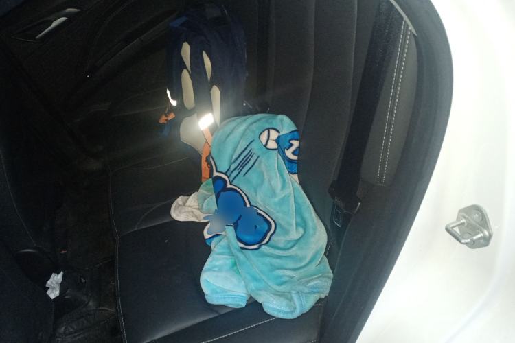 Used NETA V 2021 Long-Range Industry Custom Edition