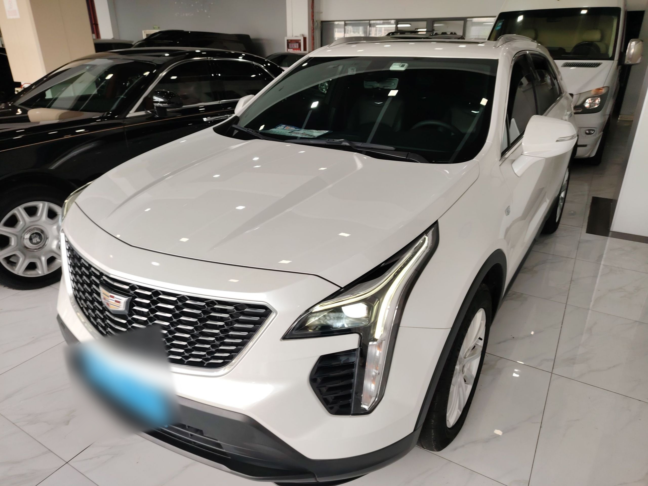 Parte inferior delantera