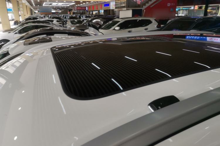 Used Haval H6 2021 3rd Generation 2.0T Automatic Two-Wheel Drive Max Roof