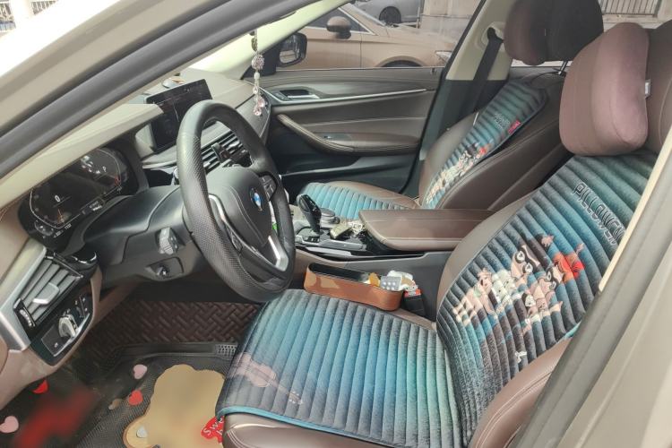 Used BMW 5 Series 2020 530Li xDrive Luxury Package
