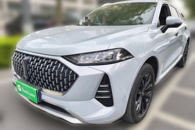 Used Wey Mocha 2021 2.0T Two-Wheel-Drive Premium Edition