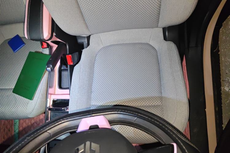 Used Leapmotor T03 2021 400 Micro-Sugar Version Left Front Seat