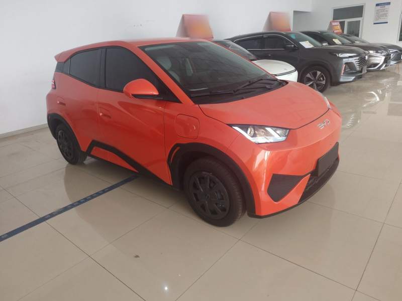 Used BYD Seagull 2026 Model, 305 km Vitality Edition — 17