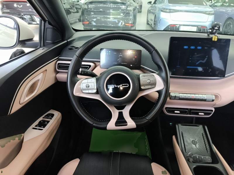Used BYD Seagull 2024 Honor Edition 305km Freedom Version — 10