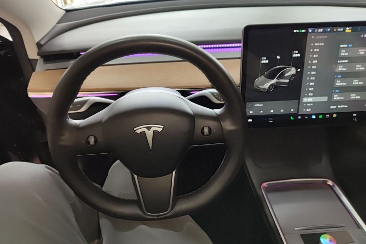 Used Tesla Model 3 2021 Performance High-Performance All-Wheel-Drive Version