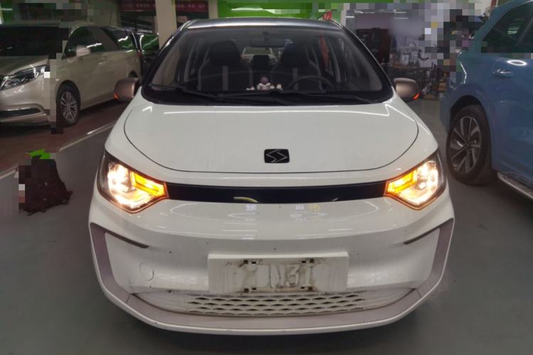 Used SOL E10X 2022 Flower Fairy Design Four-Leaf Clover
