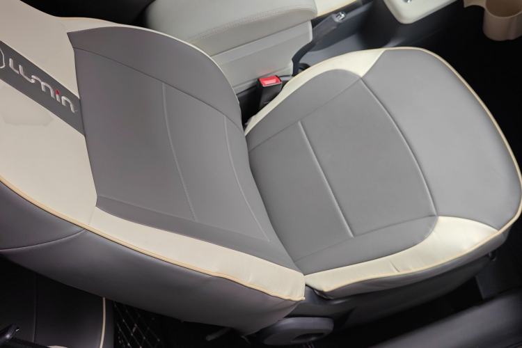 Used Qiyuan Lumin 2022 210km Sweet Edition
