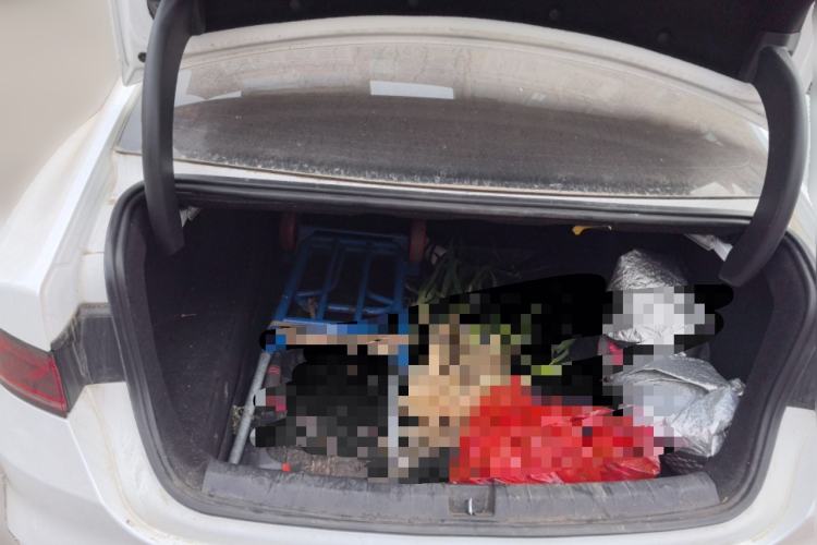 Used BYD Qin PLUS 2024 HONOR Edition DM-i 55KM Leading Model Trunk