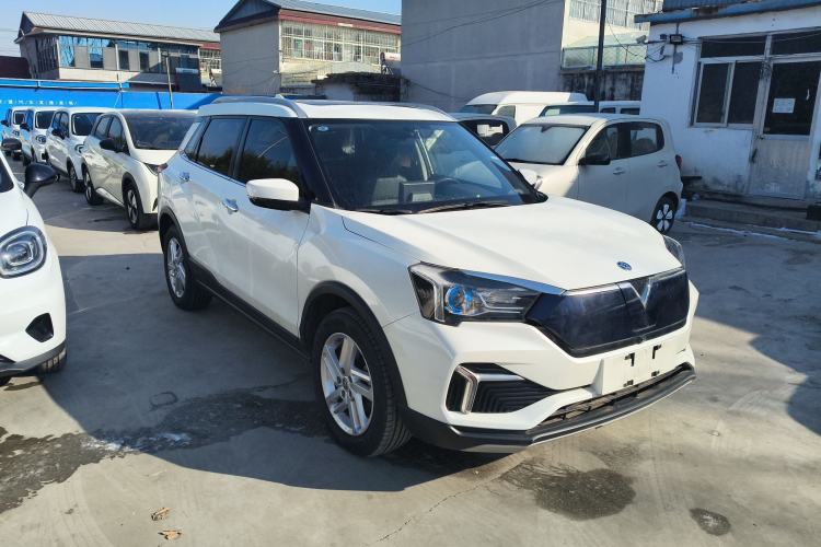 Used Venucia T60EV 2020 AI Enjoyment Model