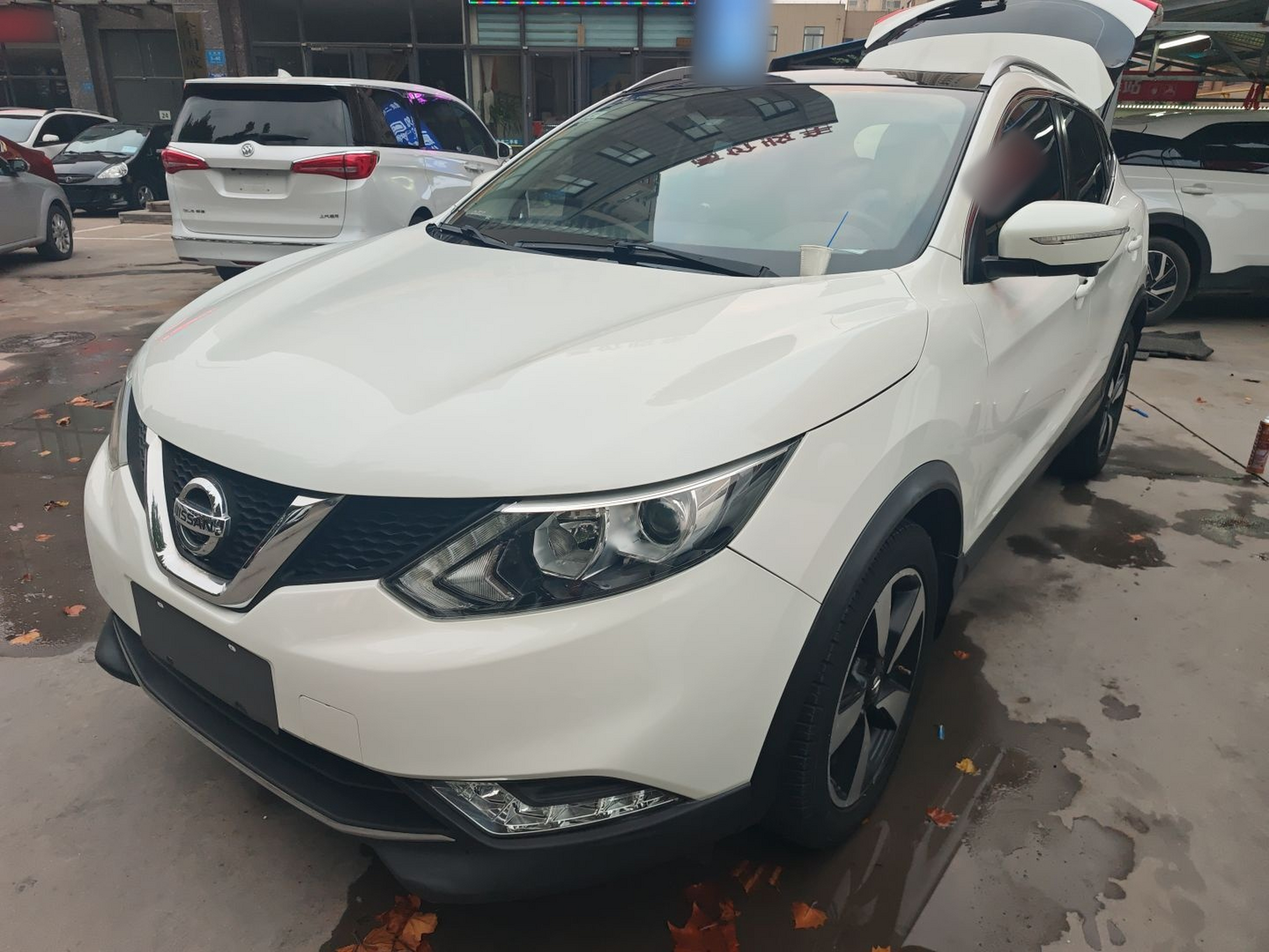 تحت مقدمة السيارة