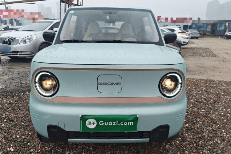 Used Geely Galaxy Panda 2024 Panda Mini 200km Endurance Bear
