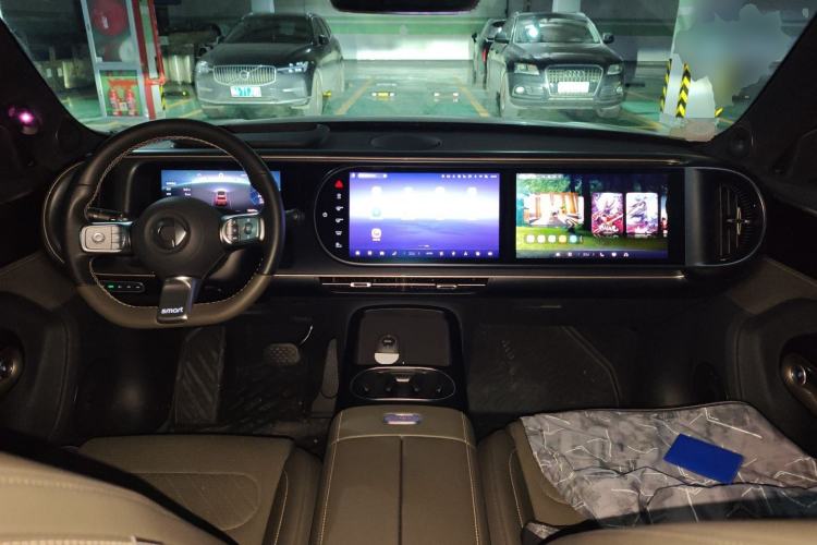 Used smart #5 2024 Jungle Realm Limited Edition