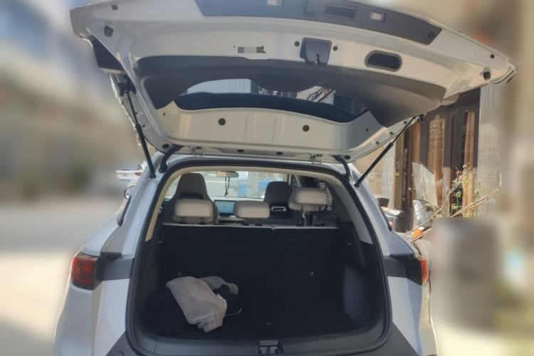 Used BYD Yuan UP 2025 Model 301KM Leading Version
