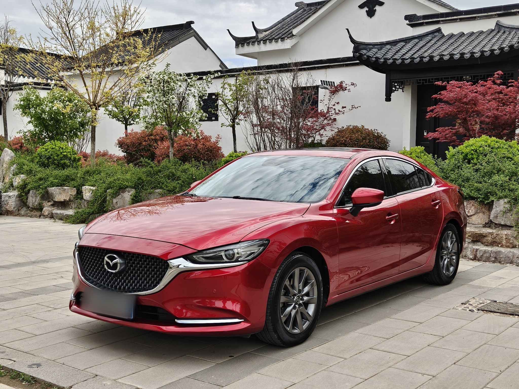 Parte inferior delantera