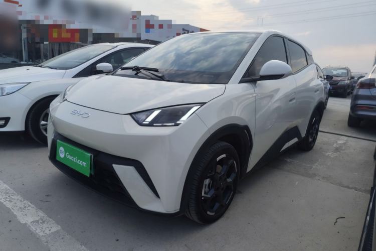 Used BYD Seagull 2025 305 km Free Version