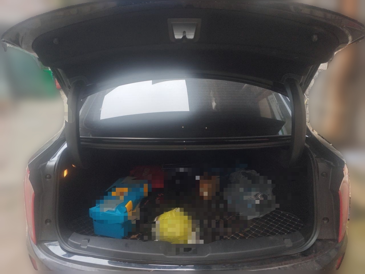 Hongqi E-QM5 2023 560km PLUS — снимка 19