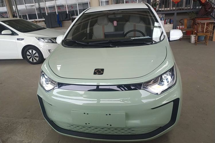 Used SOL E10X 2022 Flower Fairy Style Baby's Breath
