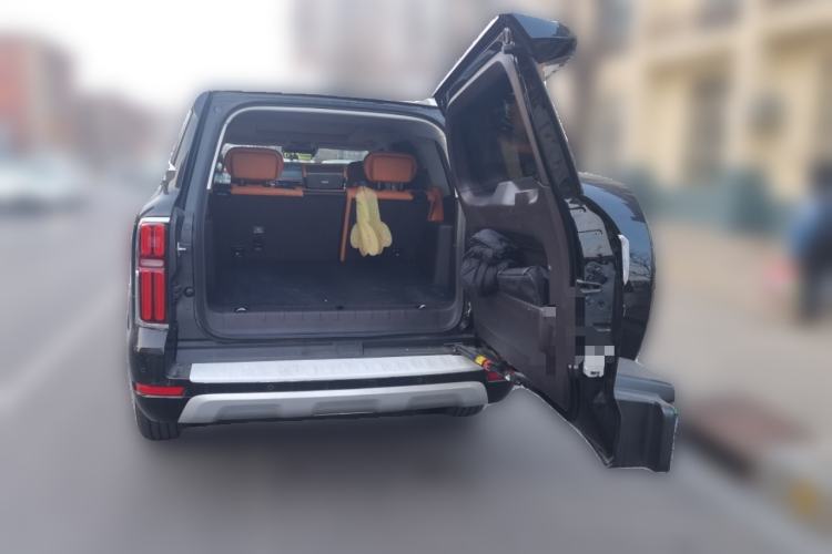 Used Tank 500 New Energy 2025 Hi4-Z