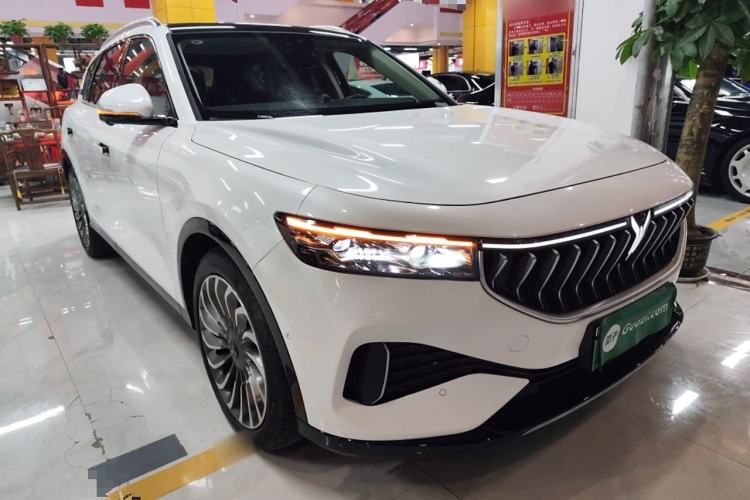 Used VOYAH FREE 2021 Four-Wheel Drive Extended-Range First Edition Commemorative Edition Exclusive Luxury Package
