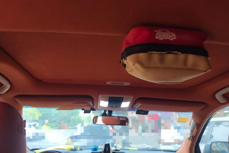 Used Toyota Land Cruiser  Headliner