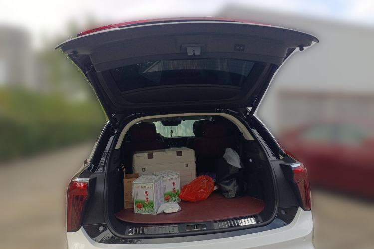 Used Hongqi E-HS9 2021 460 km Range Flagship Edition Six-Seater