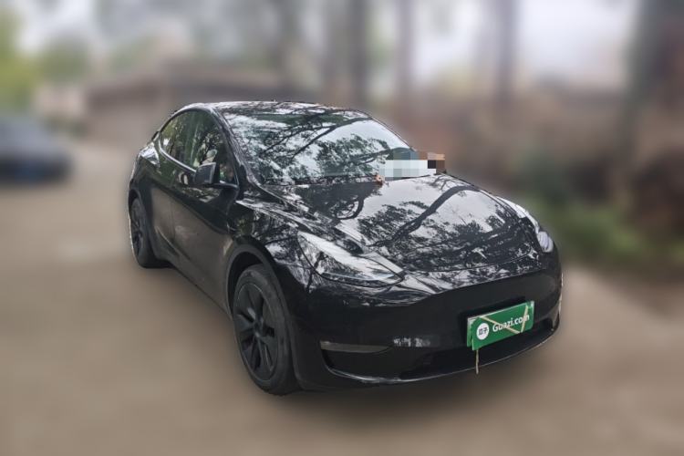Used Tesla Model Y 2024 Long-Range All-Wheel-Drive Version