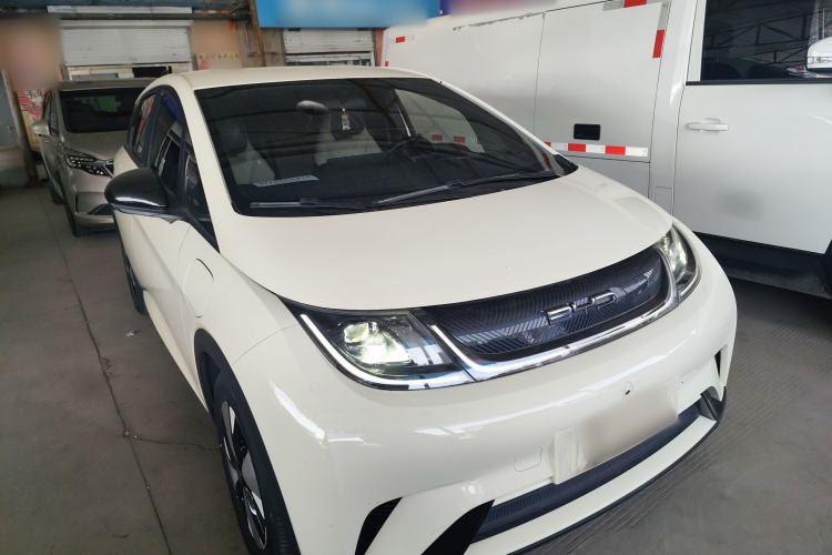 Used BYD Dolphin 2023 420 km Free Version