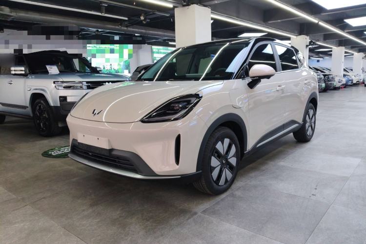 Used Wuling Bingo S 2025 Model 325km Deluxe Edition