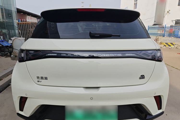 Used BYD Dolphin 2023 420 km Fashion Edition Rear