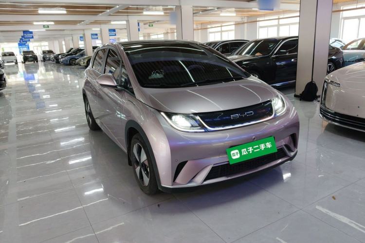 Used BYD Dolphin 2023 420 km Fashion Edition