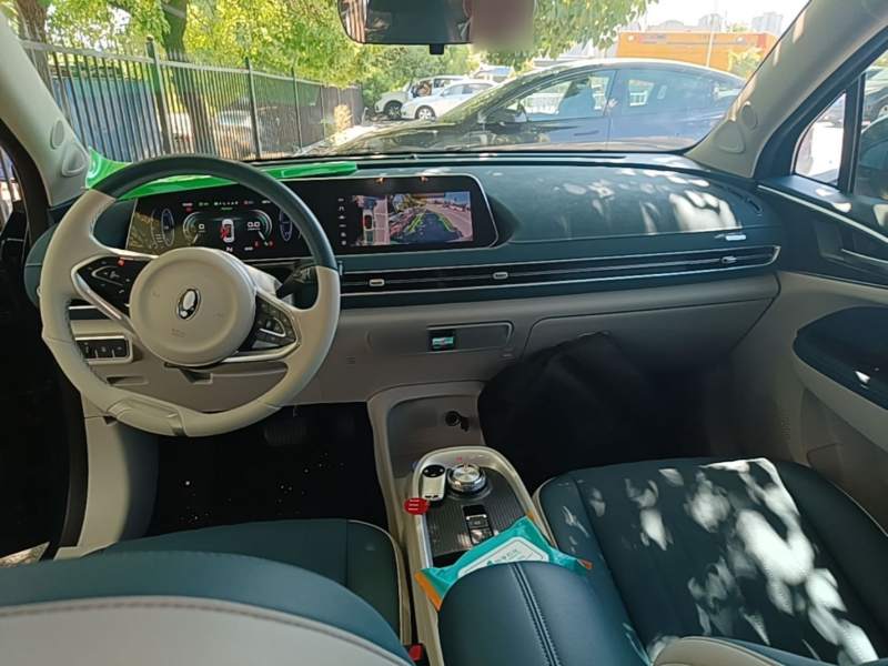 Used ORA Good Cat 2022 Morandi Edition 400km Standard Range Luxury Version Lithium-Ion Battery — 9