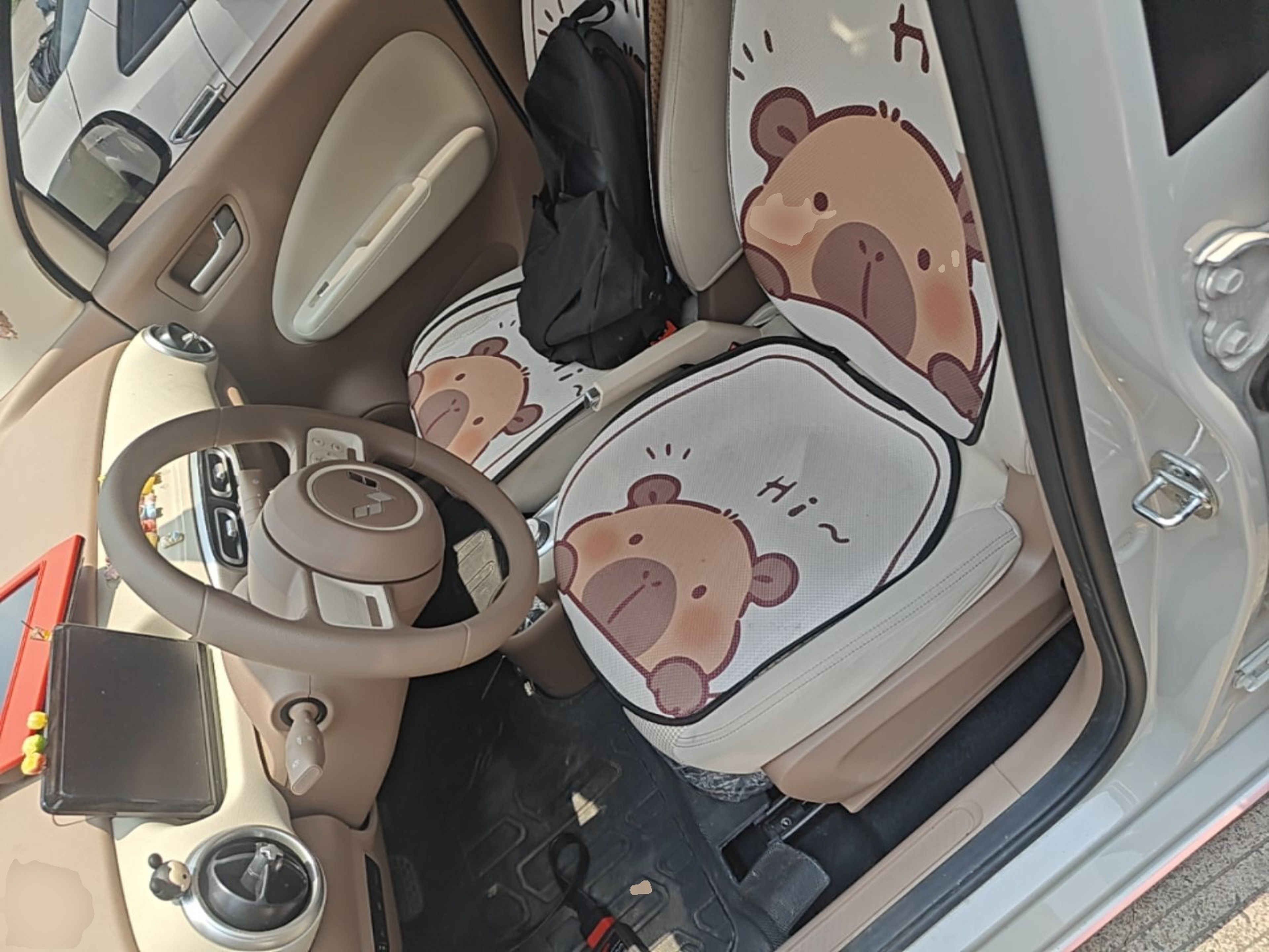 Interior delantero