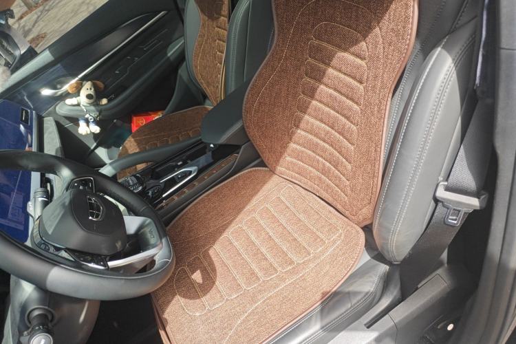 Used Geely Auto Monjaro L 2024 2.0TD High-Power Automatic Two-Wheel Drive Skyline Edition Left Front Seat