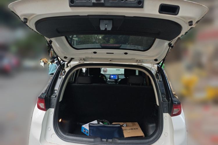 Used Dayun Yuehu 2022 30.66 kWh Two-Wheel Drive Standard Version