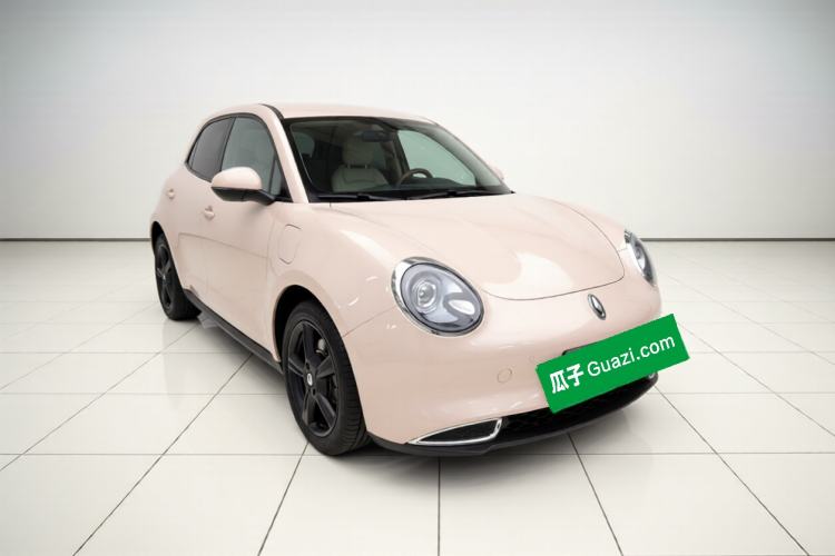 Used ORA Good Cat 2024 401 km Luxury Version Exterior 2