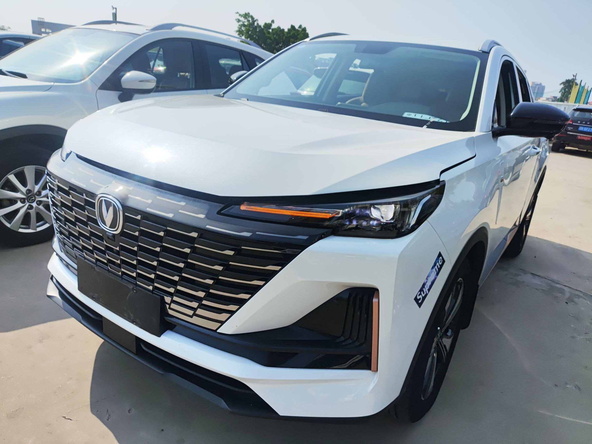 تحت مقدمة السيارة