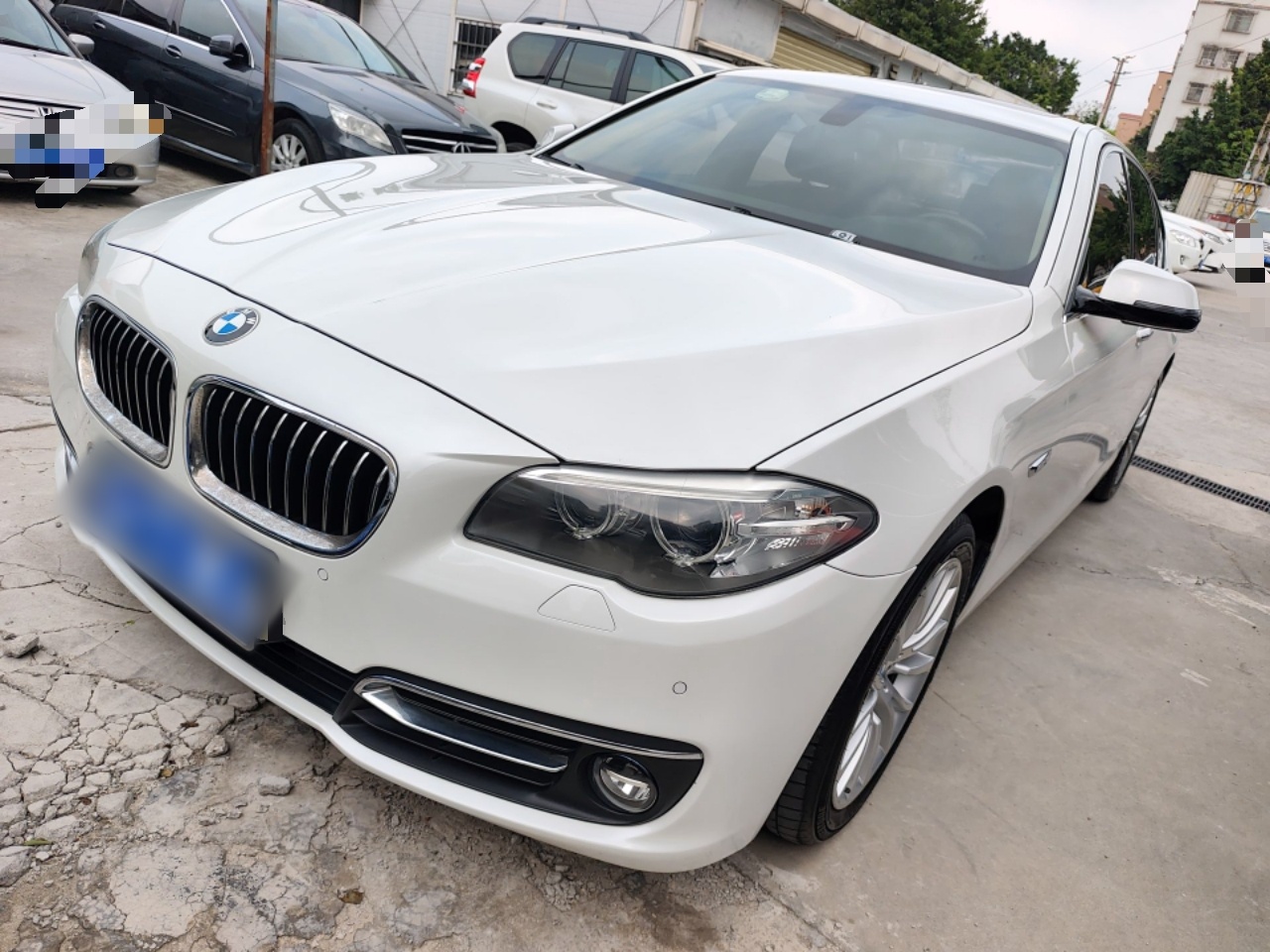 Parte inferior delantera