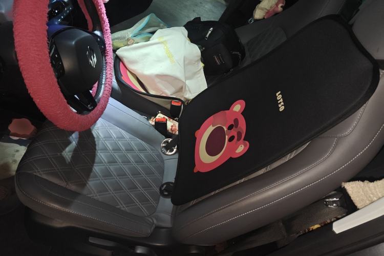 Used Leapmotor T03 2021 400 Luxury Edition
