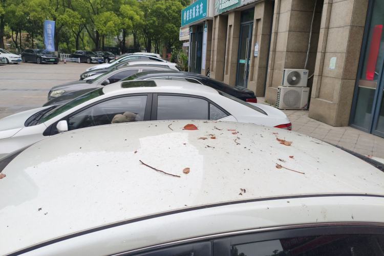 Used Nissan Sylphy 2021 Classic 1.6XE CVT Comfort Edition Roof