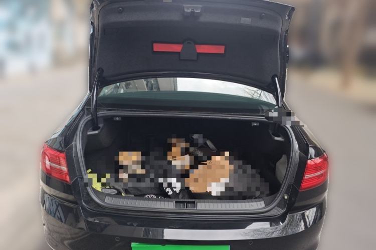 Used Volkswagen Magotan 2019 380TSI DSG Luxury Model China V Standard Trunk