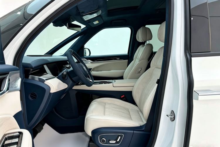 Used Zeekr 009 2022 WE Edition Left Front Seat