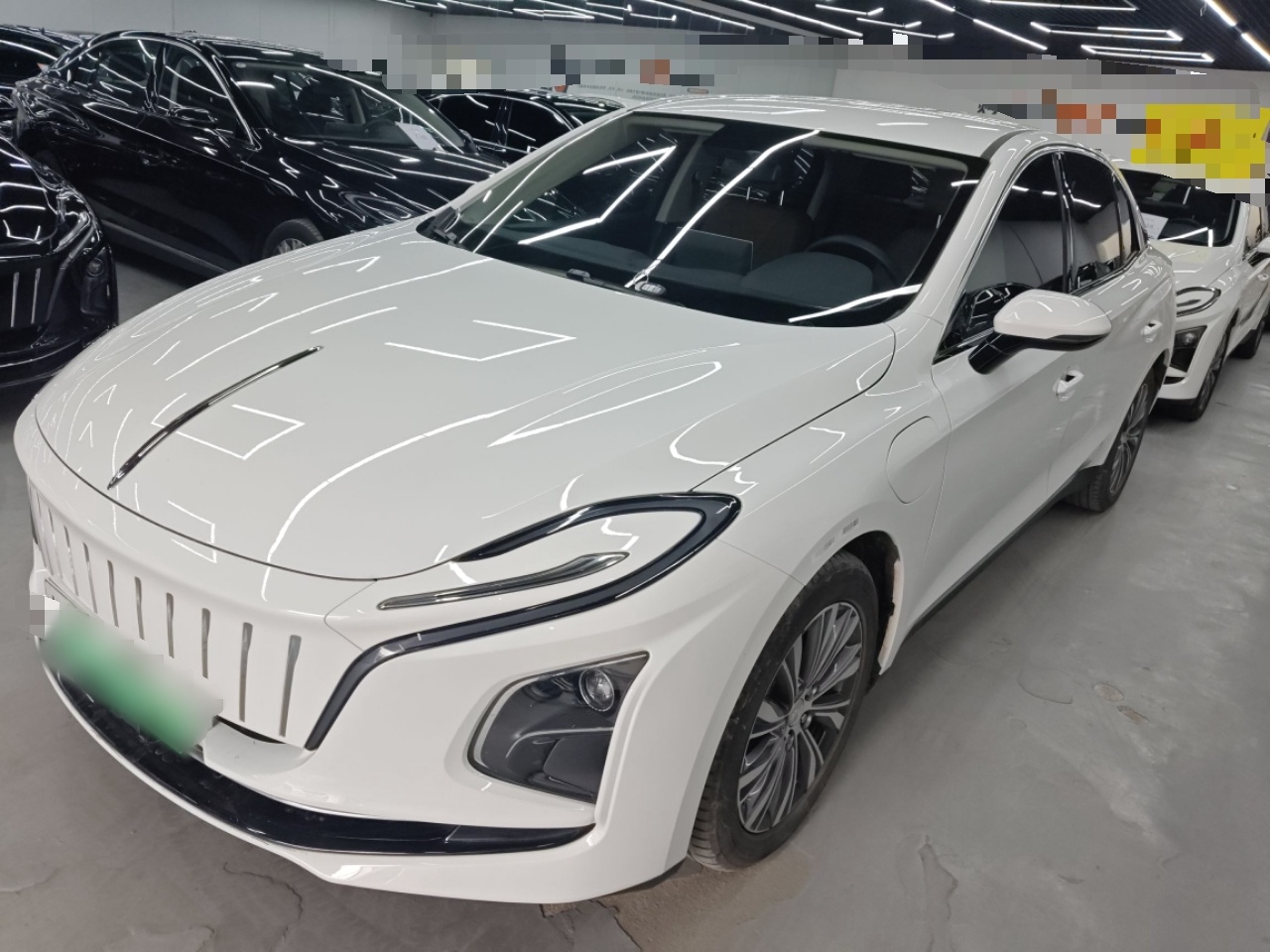 Parte inferior delantera